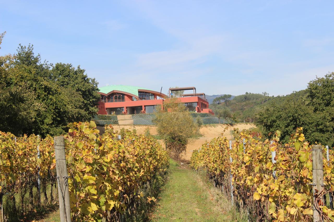 Buonamico Wine Resort Montecarlo Bagian luar foto